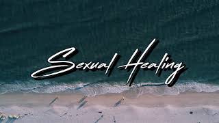 Sexual Healing || Marvin Divine