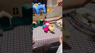 Wow! Colorful Chicks Fun Time 🌈 | Cute Baby Chicks Playing 🥰