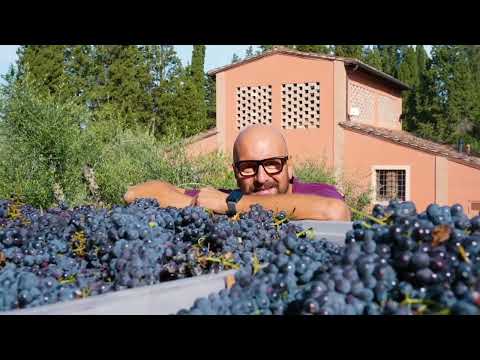 Guarda il video