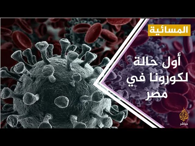 وزيرة الصحة المصرية : لاداعي لاستخدام الكمامات في المدارس