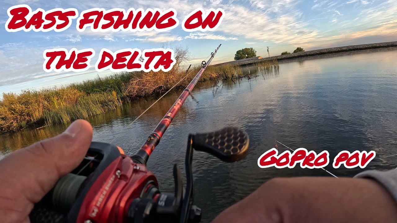 (Part3) California Delta BASS Fishing On A BOAT !!