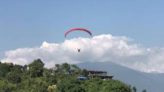 IMG 4084
