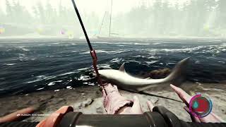 Best Way To Kill A Shark In The Forest screenshot 4