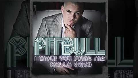 Pitbull - I Know You Want Me (Calle Ocho) (Super Clean)