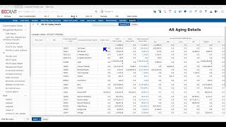 [ECOUNT Practice] Reports - AR AP Management