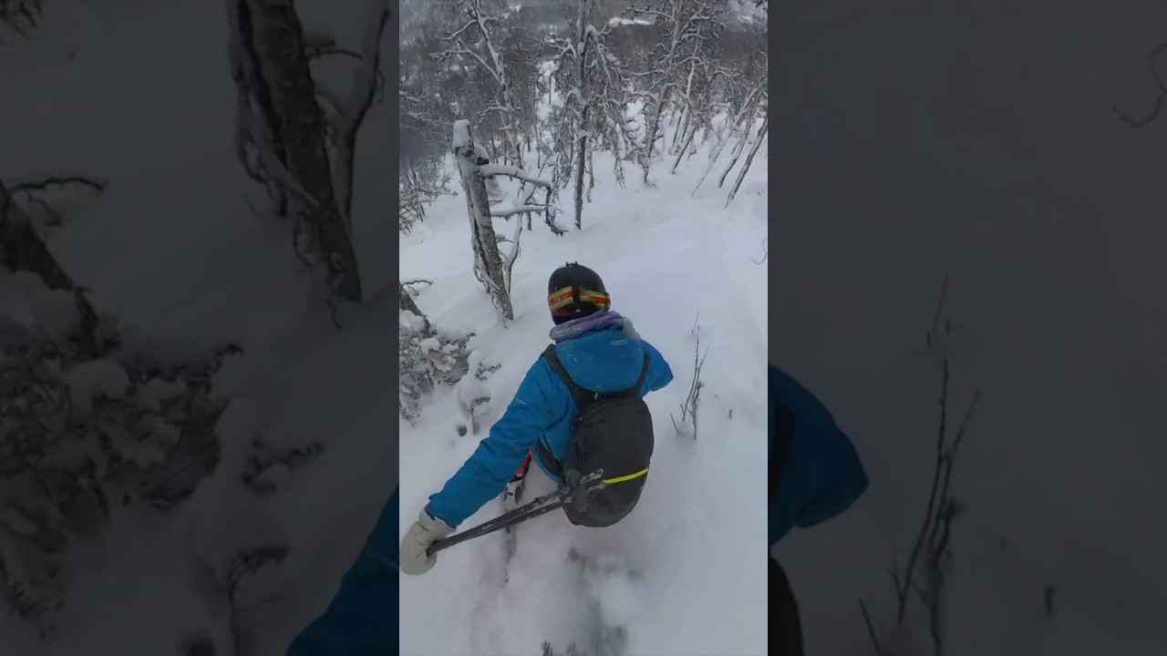Powderday! | Short 216 | 