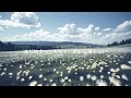 捧ぐ唄/Ringomen (歌詞は説明欄)