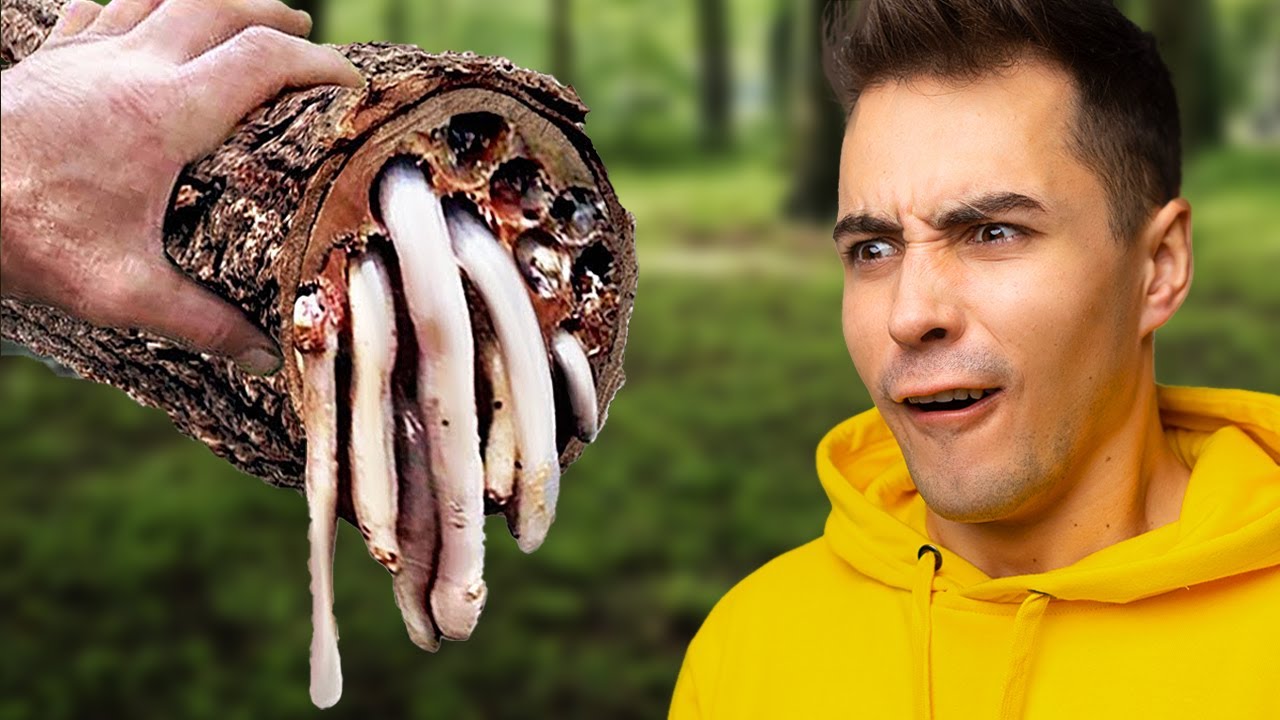 NAJNIEBEZPIECZNIEJSZE DRZEWA NA ŚWIECIE!