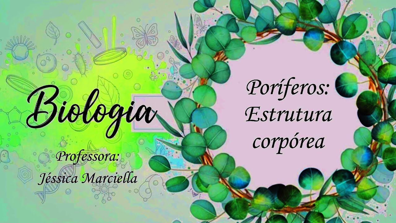 8.2.1 Poríferos: Estrutura corpórea e Posição filogenética.