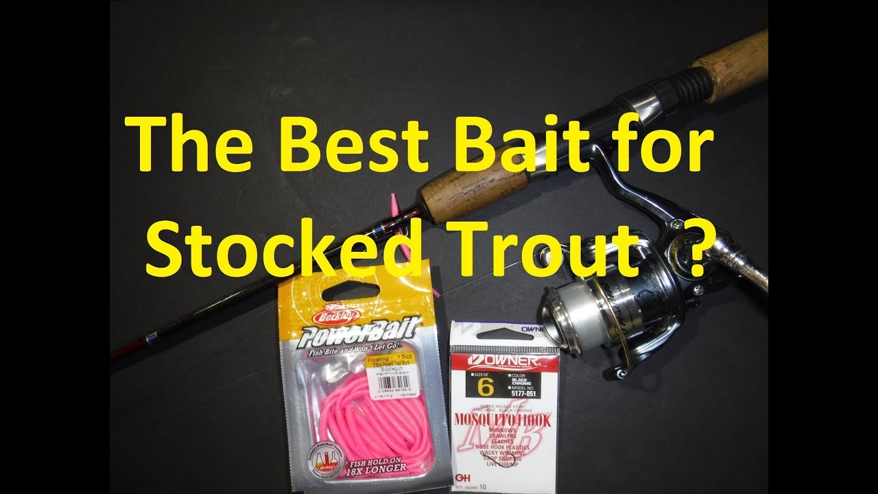 The Best Bait for Stocked Trout ?? Wacky Rigged Powerbait - YouTube