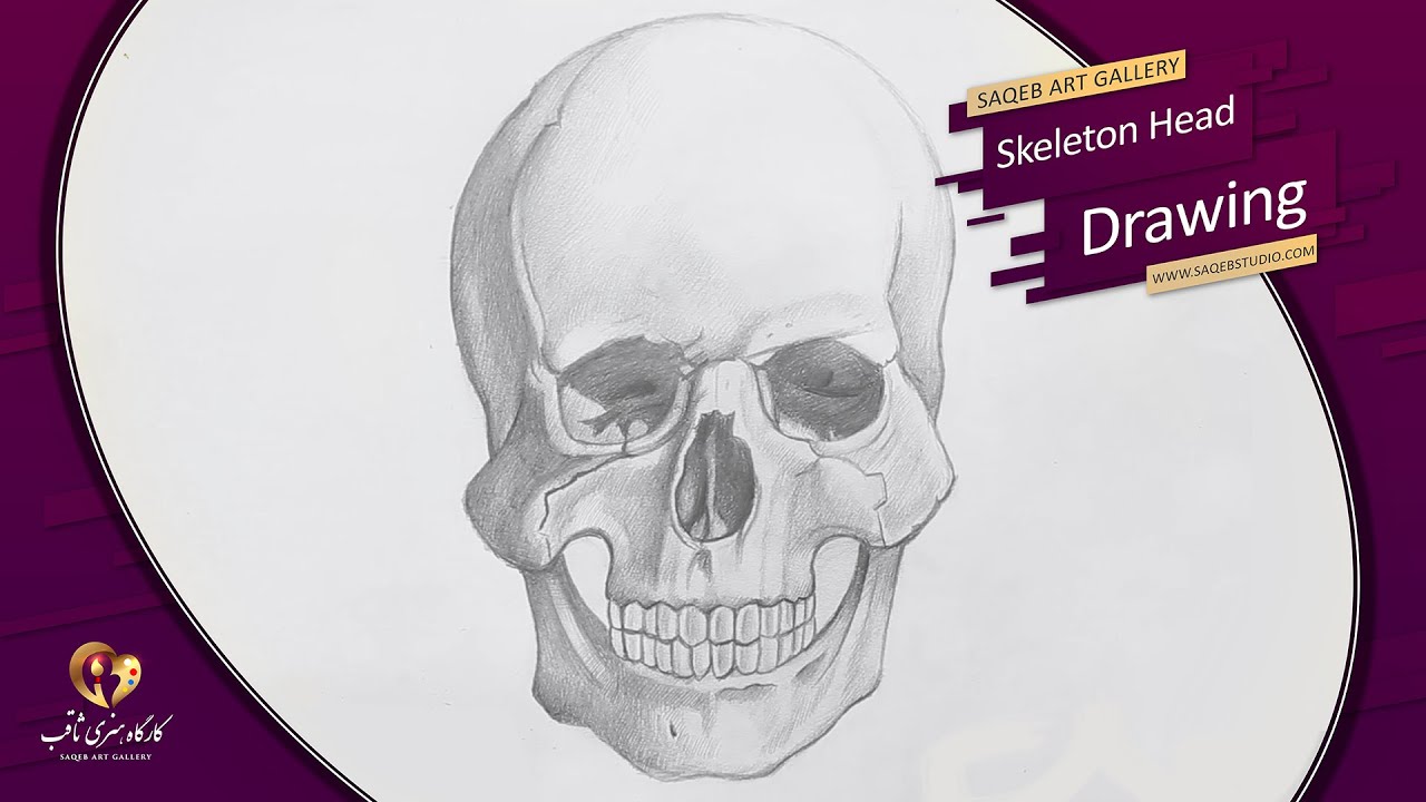 Skeleton Head Drawing Sketch - طراحی اسکلیت سر