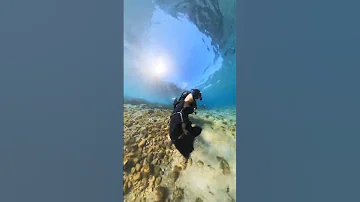 ガイドの手袋 