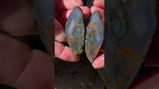 I love this little surprise #agate #geology #rocks #minerals #nature #earth #wow #yummy #love #fun ￼