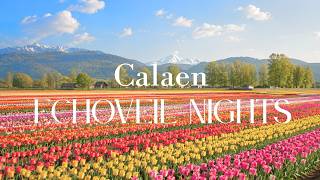 Calaen – Echoveil Nights