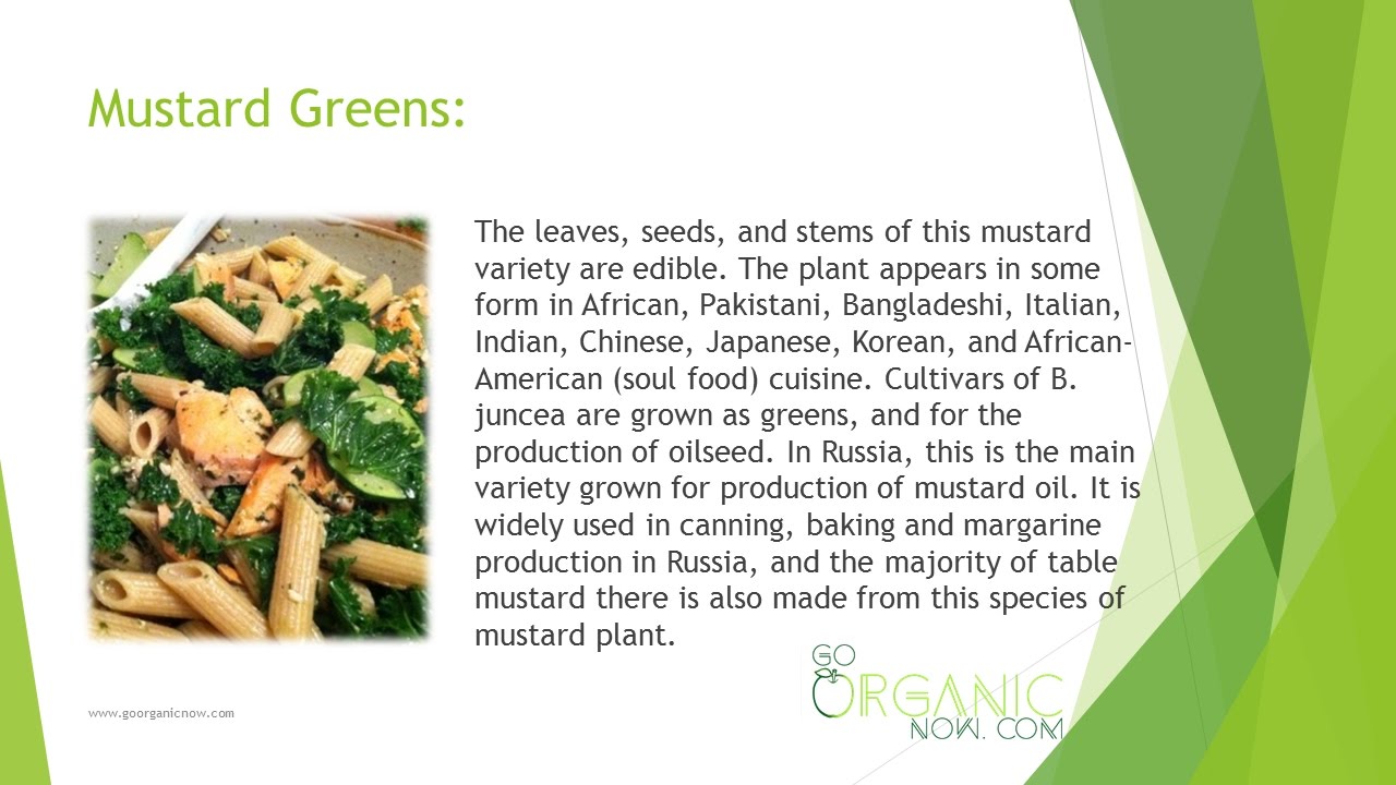 Health Benefits of Mustard Greens YouTube