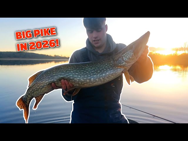My First Big Pike Of 2026 (Lure & Deadbait Fishing) - YouTube