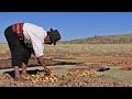 Chuño, sabiduría alimentaria andina