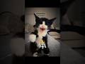 Why So ANGRY❓😡 #FunnyCats #Phonk #Shorts