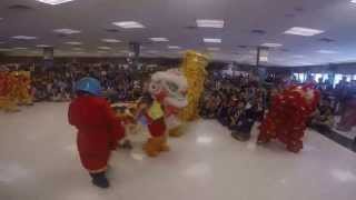 Lion Dance at 2015 Tet Festival of Vietnamese Scout Units in Washington D.C. Metropolitan