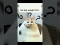 MITTAR TUM APNE HO IS LYE KAHE RHA HU OK😜👍#funny #foryou #trending #youtubeshorts