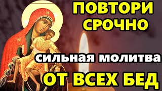 Самая Сильная Молитва Милостивая Икона Божией Матери от Бед в праздник! Православие