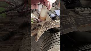 Vw T3 Linke Seite Das Kam Unerwartet