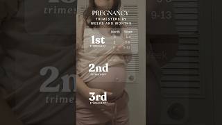 Trimester of pregnancy in months