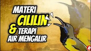 MASTERAN SOGON MATERI CILILIN DAN TERAPI AIR JEDA 10 DETIK