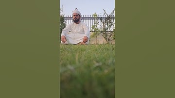 تلاوة هادئة بأجواء هادئة ~عمر الحسان