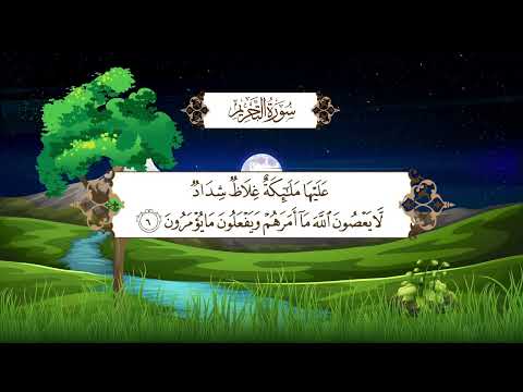 سورة التحريم | المصحف المعلم مع ترديد الطفل من جزء المجادلة | الشيخ محمد أيوب رحمه الله