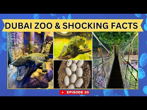 DUBAI ZOO EXPLORED  – RAINFOREST, ROCKY SHORE & LIVING OCEAN