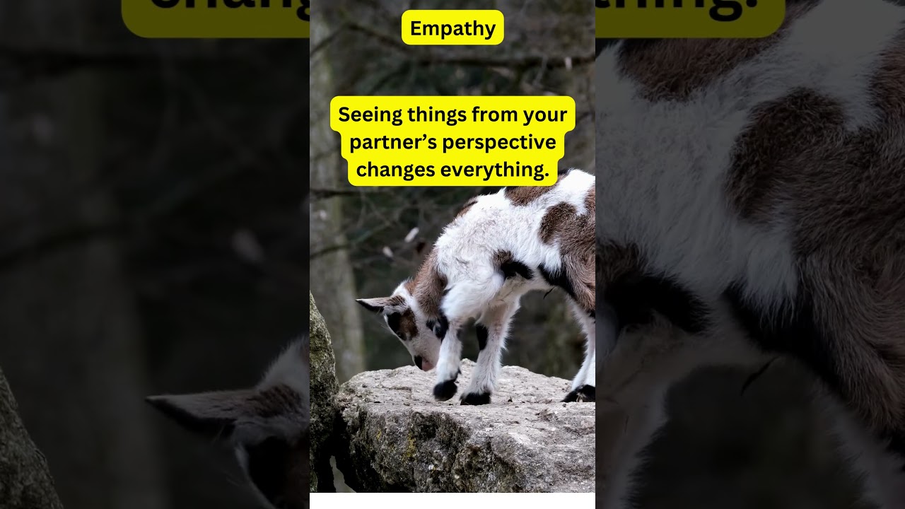 Interesting Facts About Our Emotions And Relationships