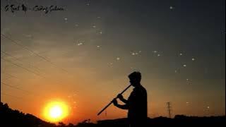 Si Tình Mộ - Cường Sahara | Nhạc không lời hoa ngữ (Tiêu C4)