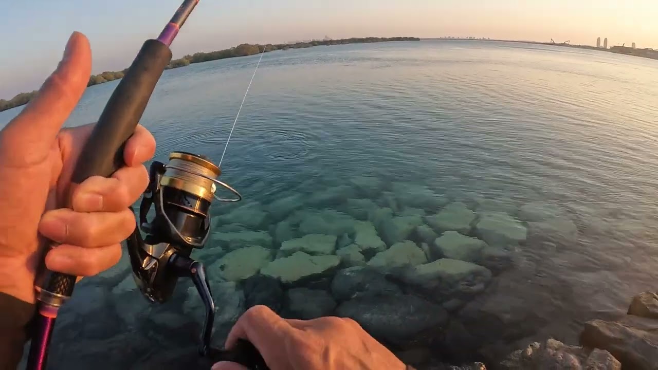 King Silver Red Gills 10 grams Catch and Release