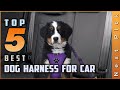 Top 5 Best Dog Harness for Cars Review in 2020