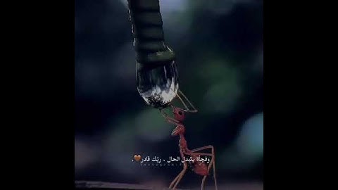 إن في اختلاف اللَّيْلِ وَالنَّهَارِ |سورة يونس 🍂'