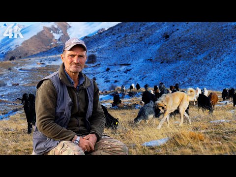 Dağın Eteklerinde Yayla Yaşamı- Köye Yaklaşan Kış | Belgesel-4K