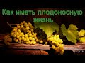 "Как иметь плодоносную жизнь" А. Н. Оскаленко. МСЦ ЕХБ.