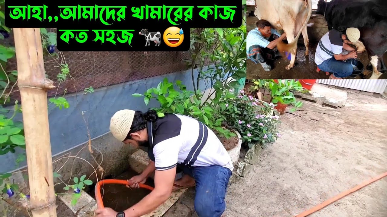 আহা,,আমাদের খামারের কাজ কত সহজ 🐄😅