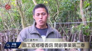 鐵工返鄉種香菇開創事業第二春2017-01-25 TITV 原視新聞