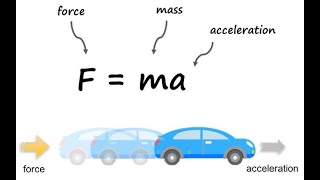 Celebrity Lesson 2. Force and Acceleration - Part 2: Acceleration and Force Wealth