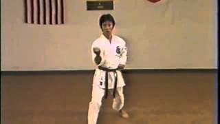 Seishinkai Chino kata