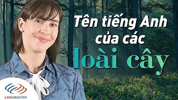 Langmaster - Tên tiếng Anh giao tiếp của các loại cây [Học tiếng Anh cho người mới bắt đầu #1]