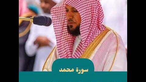 سورة محمد - القارئ الشيخ ماهر المعيقلي
