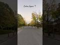 ✨ Evening Serenity in Osaka Park 🌆 | Japan Vibes #shorts #ytshorts #viral