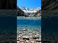😱 झील के अंदर क्या छिपा था? पानी के नीचे का हैरान कर देने वाला नज़ारा! 🌊🐟#Shorts #ViralShorts #Lake