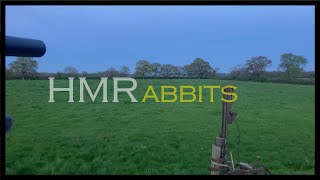 .17 HMR ON RABBITS