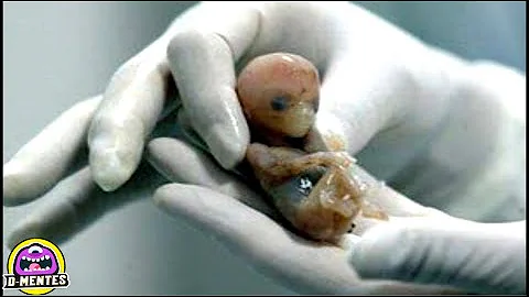 ¿Está vivo un embrión congelado?