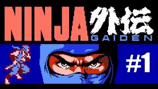 Ninja Gaiden #1:Ninja Stealth! screenshot 1