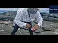 Summer fish at Blue Rocks (KZN) 2025